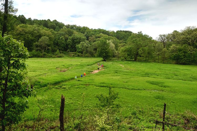 Cross Plains, Wisconsin Homes for Sale & Real Estate